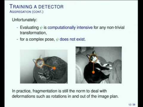 Stationary Features and Cat Detection