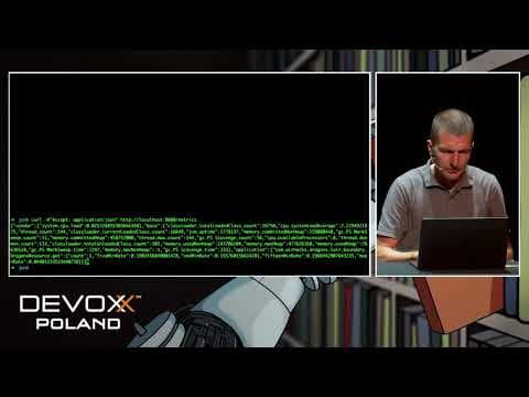 Lean WebApps with Skinny Miniservices #usetheplatfom - Adam Bien