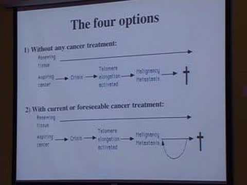 WILT: taking cancer seriously enough to really cure it