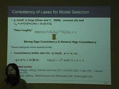 Feature Selection Through Lasso