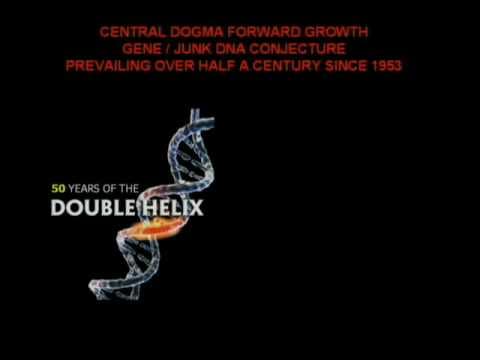 Is IT ready for the Dreaded DNA Data Deluge?