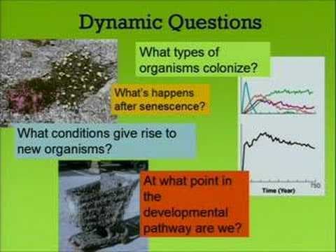 Natural Security (A Darwinian Approach to a Dangerous World)