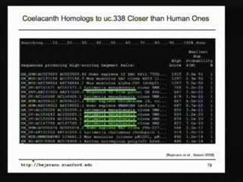 Mysteries of the Human Genome